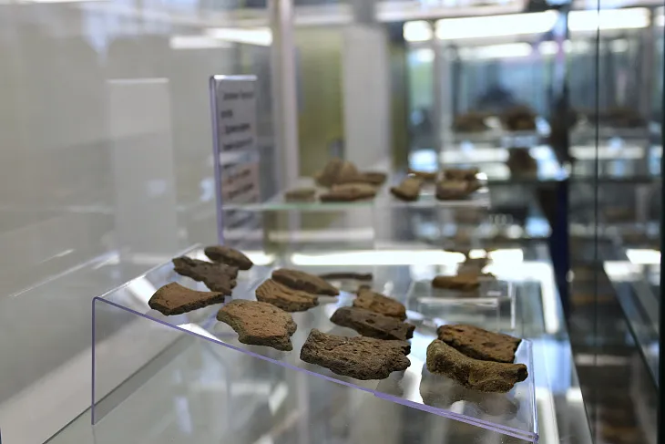 В БФУ открыли выставку археологических находок студентов |  8