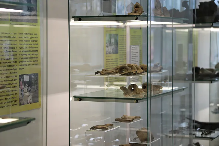 В БФУ открыли выставку археологических находок студентов |  17