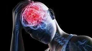 На международной конференции в БФУ обсуждают аспекты восстановления сознания после травмы мозга