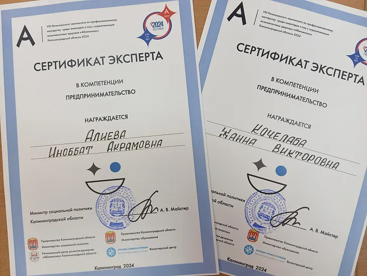 Студенты и преподаватели БФУ приняли участие в региональном чемпионате «Абилимпикс» |  3