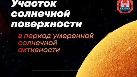 ﻿Туманность Андромеды, полярное сияние и кометы: делимся лучшими астрофотографиями БФУ им. И. Канта 