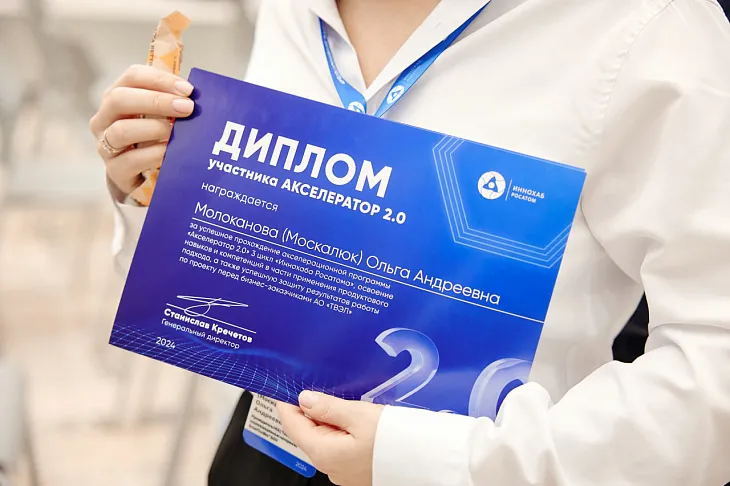 Ученые БФУ им. И. Канта разработают комплектующие для литий-ионных аккумуляторных батарей для «Росатома» |  2