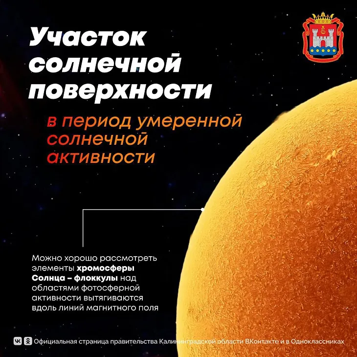 ﻿Туманность Андромеды, полярное сияние и кометы: делимся лучшими астрофотографиями БФУ им. И. Канта  |  1