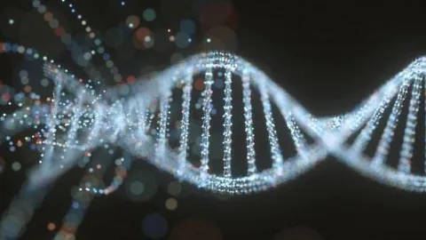 Учебные обнаружили мутации в митохондриальной ДНК, отражающие продолжительность жизни