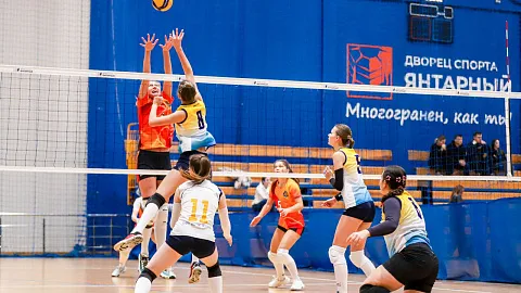 1 апреля — День рождения Высшей школы физической культуры и спорта 
