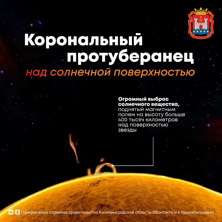 ﻿Туманность Андромеды, полярное сияние и кометы: делимся лучшими астрофотографиями БФУ им. И. Канта  |  4