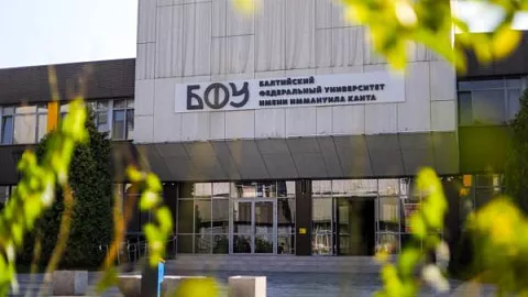 Пять исследователей БФУ им. И. Канта вошли в рейтинг самых цитируемых ученых мира