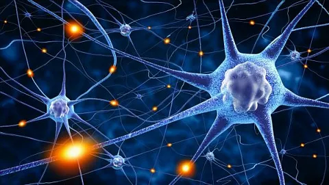 Нейросеть помогла диагностировать ослабление связей между отделами мозга