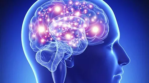 Двухкомпонентный компьютерный алгоритм с высокой точностью выявит эпилепсию 