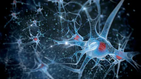 БФУ приглашает принять участие в весенней школе по нейротехнологиям  «Нейротрек–2023» 