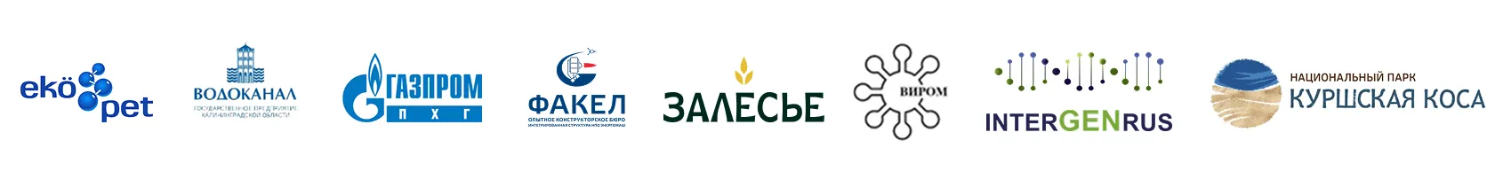 Group 5.png