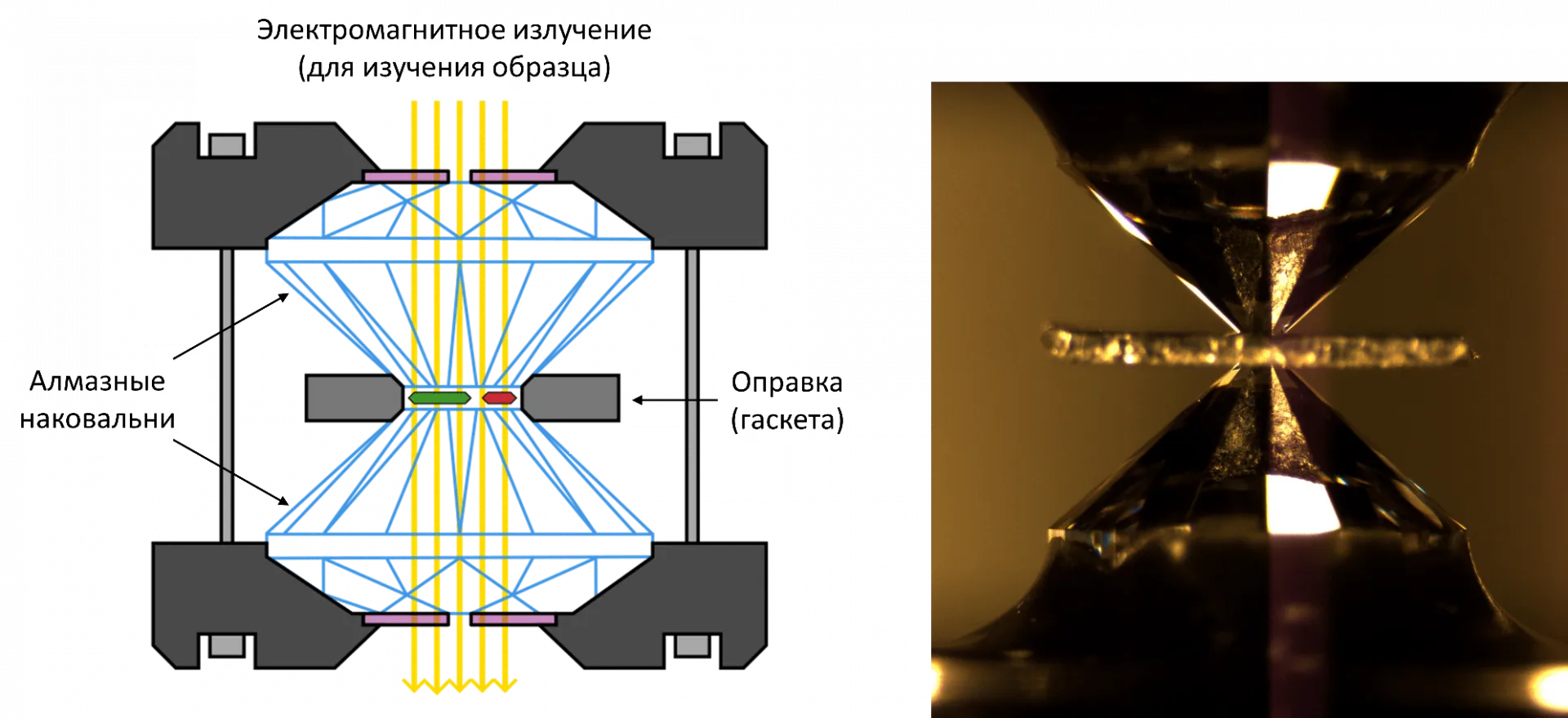 Принципиальная схема ячейки с алмазными наковальнями и фотография ячейки с помещенным внутрь образцом. 