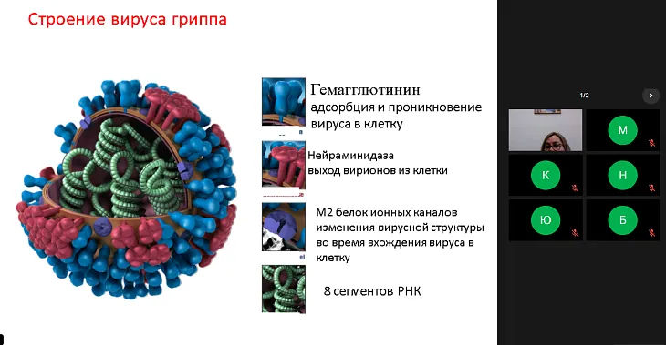 На базе представительства БФУ им. И. Канта в Самарканде прошла серия лекций по медицине |  1