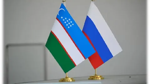 Сотрудники Высшей школы права на юридической конференции в Узбекистане