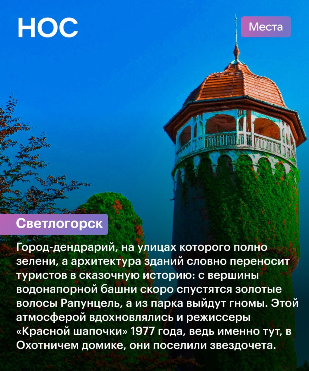 img-14.jpg