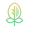 financial-growth-analysis