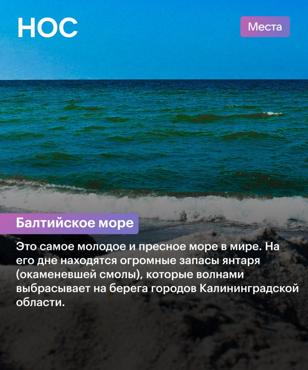 img-14.jpg
