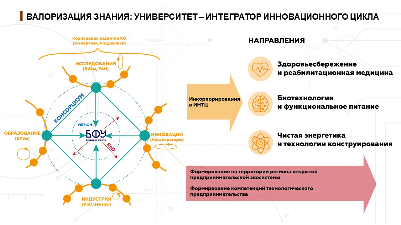 Балтийская долина