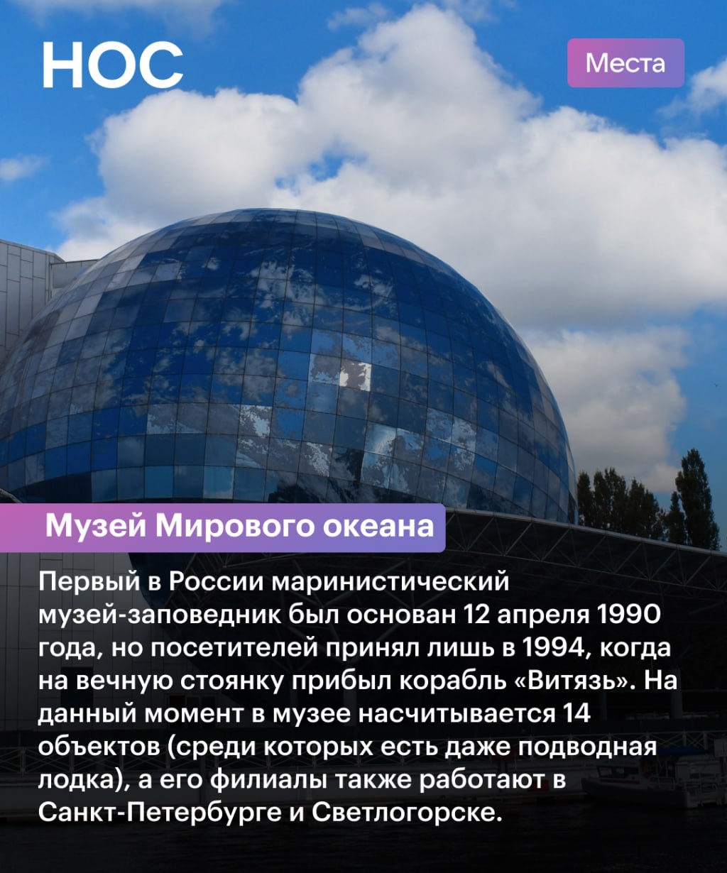 img-14.jpg