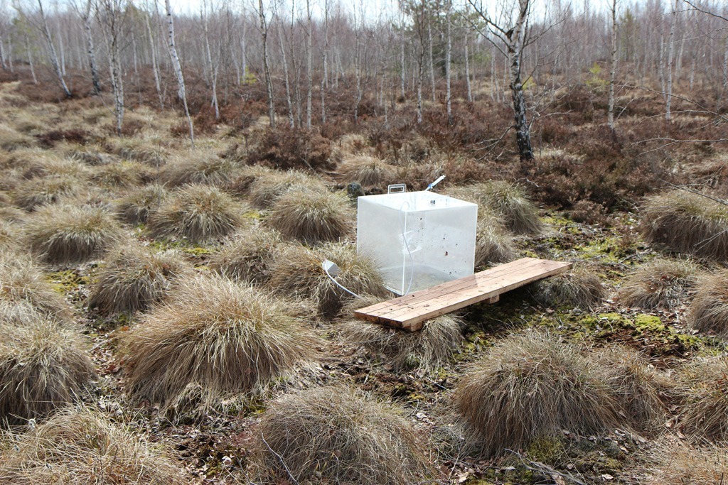 img-14.jpg