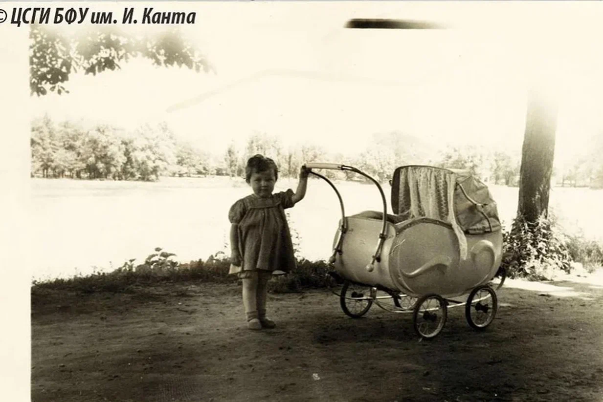 Коляска фото.png