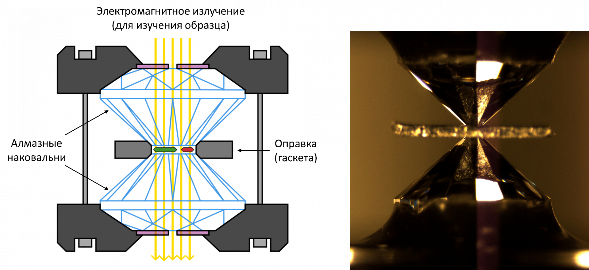 Принципиальная схема ячейки с алмазными наковальнями и фотография ячейки с помещенным внутрь образцом. 