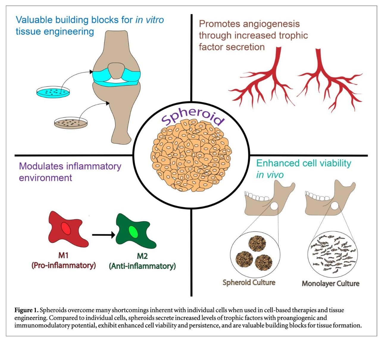 Сфероиды 1.jpg