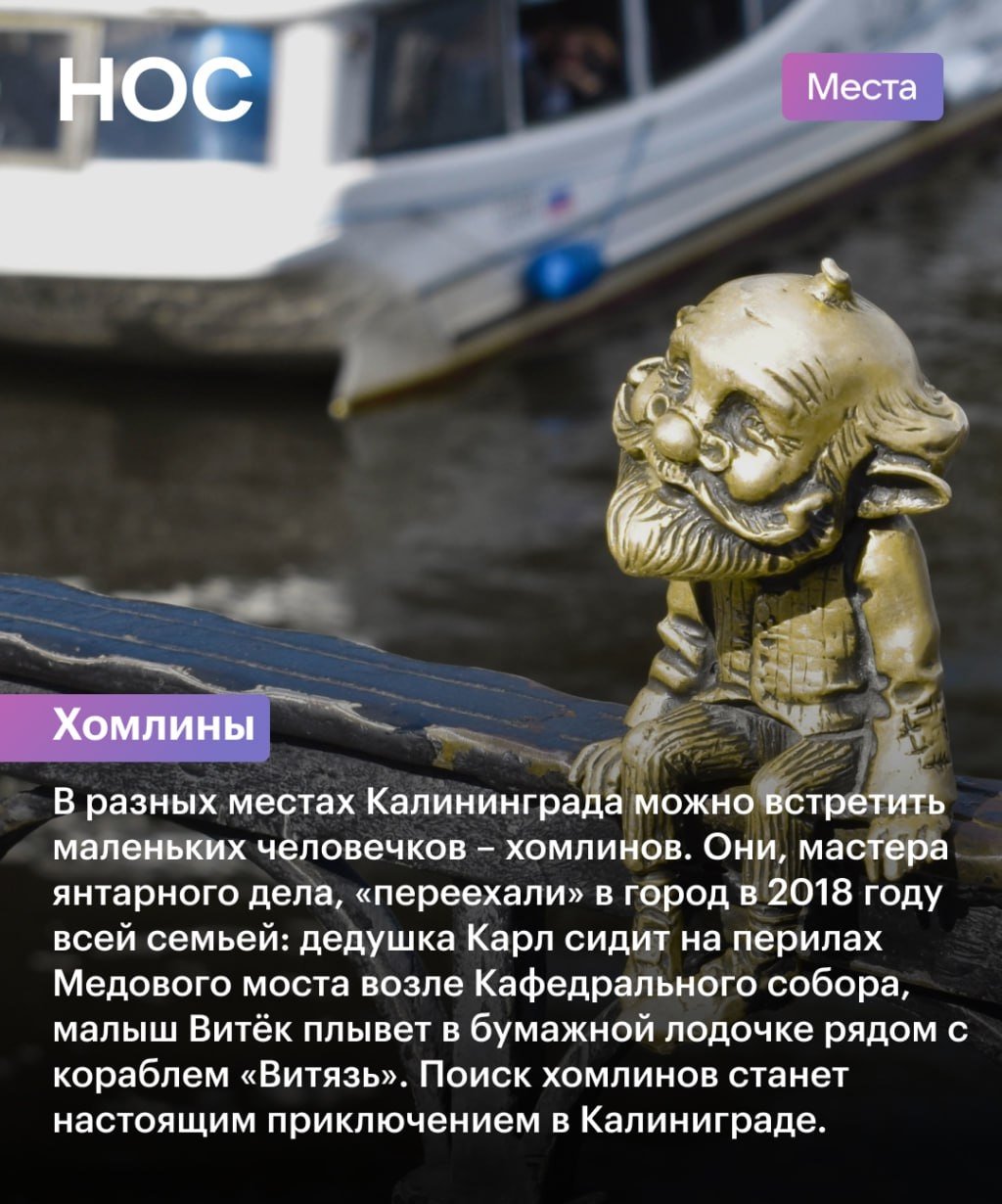 img-14.jpg