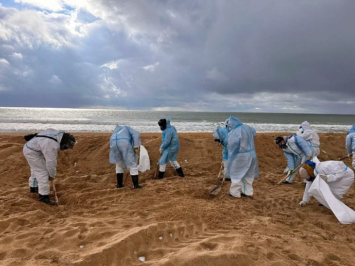 Kaliningrad Students Volunteer to Clean Black Sea Coast After Oil Spill | Image 2