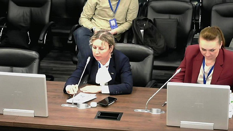 Руководитель Института образования и гуманитарных наук БФУ им. И. Канта выступила спикером международной конференции исследователей образования