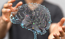 Балтийский форум: нейронаука, искусственный интеллект и сложные системы 