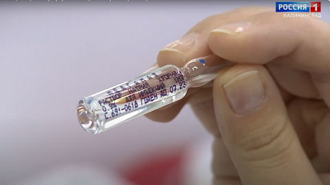 О новой вакцине против туберкулеза: интервью с экспертом БФУ им. И. Канта