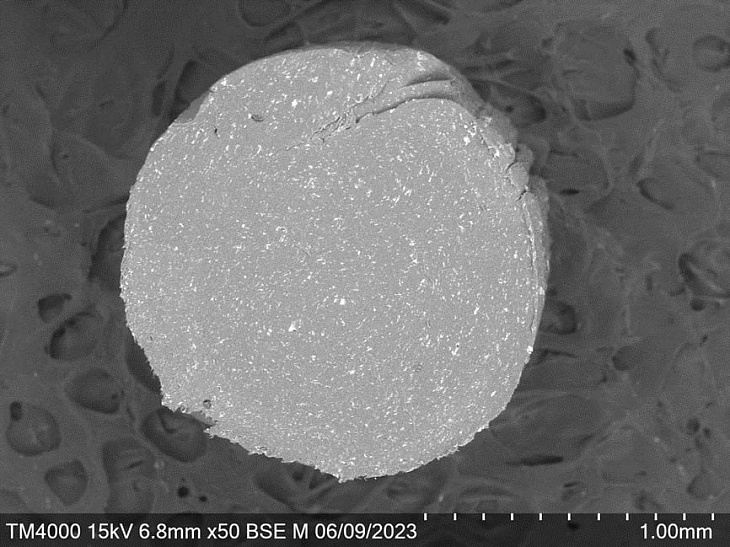 IKBFU Scientists Develop a Mechanism for Creating Smart Materials for Medicine | Image 3