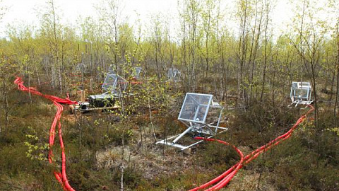 A New Greenhouse Gas Monitoring System Implemented at IKBFU