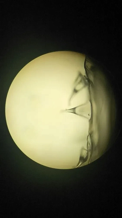 Укола не&nbsp;будет: ученые БФУ создают «умные» пластыри для&nbsp;будущего медицины |  4