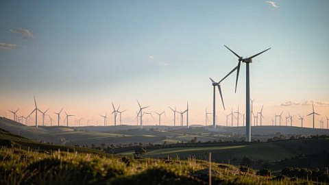 Scientists of the IKBFU Use Advanced Methods of Modeling Wind Power Plants