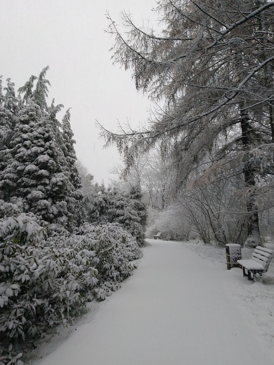 Winter Wonderland at the Botanical Garden | Image 10