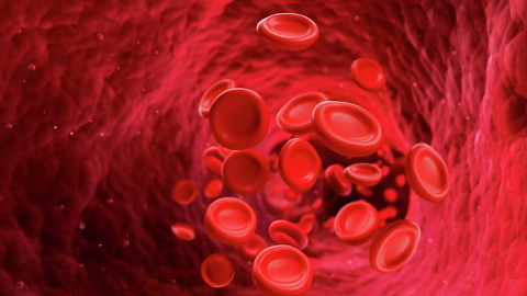Scientists Determine How Many Hours It Takes for Platelets to 