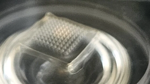 Укола не&nbsp;будет: ученые БФУ создают «умные» пластыри для&nbsp;будущего медицины