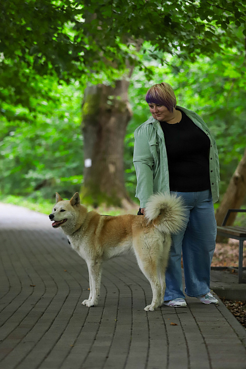 Stray Dog Finds a Forever Home at IKBFU Botanical Garden | Image 2