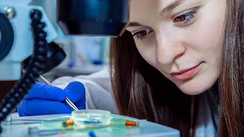 Три аспиранта БФУ им.&nbsp;И.&nbsp;Канта стали обладателями стипендии Президента РФ