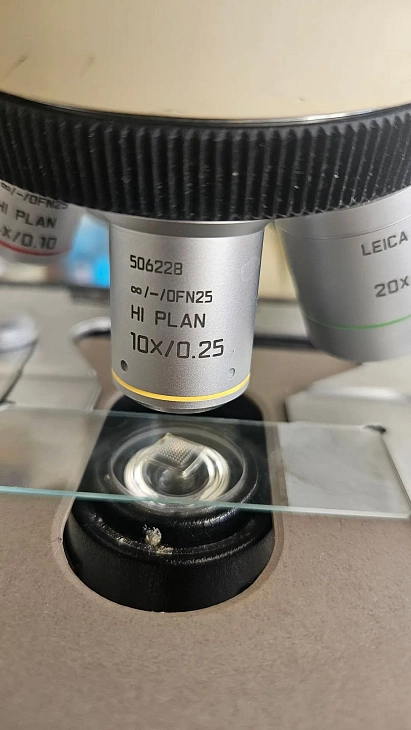 Укола не&nbsp;будет: ученые БФУ создают «умные» пластыри для&nbsp;будущего медицины |  1