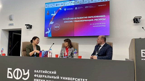 В БФУ им. И. Каната состоялся круглый стол «Методика преподавания китайского и корейского языков»