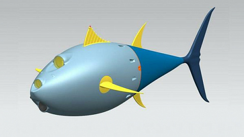    БФУ приглашает студентов в научную команду для разработки нейроморфного робота-рыбы