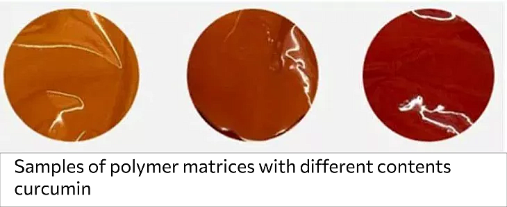 Curcumin Against Melanoma: Scientists from IKBFU and ITMO Develop an Effective Drug Delivery Method | Image 1