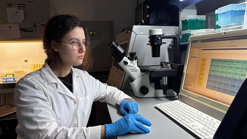 IKBFU Scientists’ Startup on Treating Endometriosis with Nanoparticles Enters the SechenovTech Accelerator