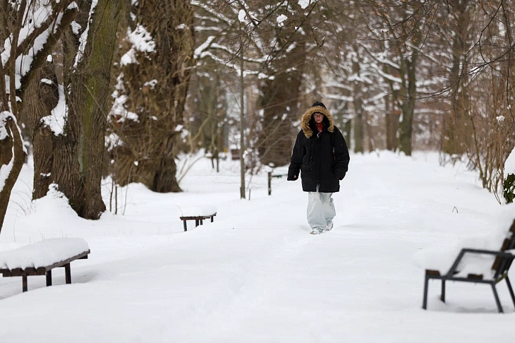 February Brings Heavy Snow to Botanical Garden | Image 3