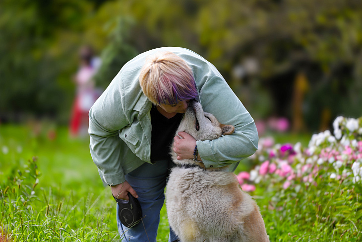 Stray Dog Finds a Forever Home at IKBFU Botanical Garden | Image 4