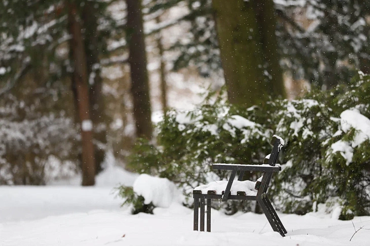 February Brings Heavy Snow to Botanical Garden | Image 12