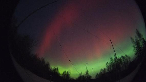 The Nothern Lights in Kaliningrad: the Astronomical Community of IKBFU Shares Unique Photos